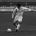 2007-08 Mastronicola